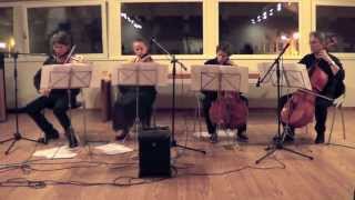 Apocalyptica - Farewell - Trio Cavalazzi acoustic cover