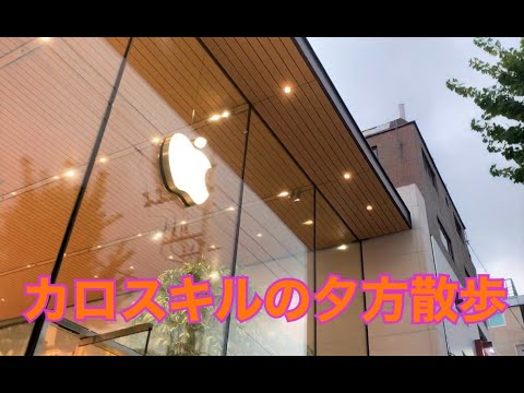 Caminhada noturna da estação Sinsa até Garosu-gil