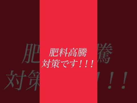 冬に肥料を与える植物はどれですか?肥料の種類と使い方は？  庭園