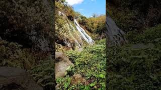 オシンコシンの滝 오싱코싱 폭포