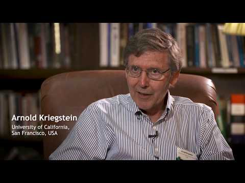 The Company of Biologists Workshops - Development and evolution of the human neocortex