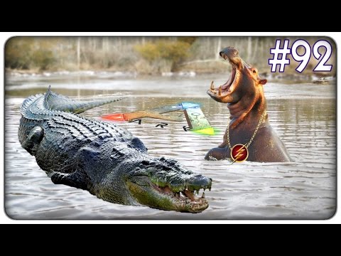 IL COCCODRILLO GIGANTE E L'IPPOPOTAMO RAZZO | Ark Survival Evolved - ep. 92 [ITA]