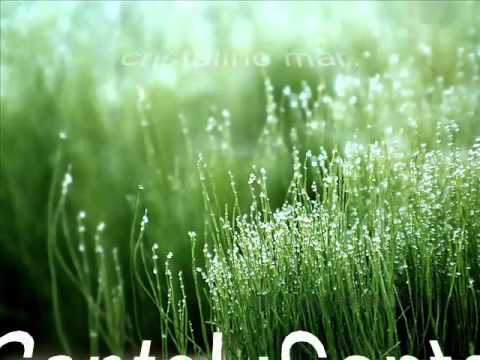 Himnos y Cánticos del Evangelio Nº 279