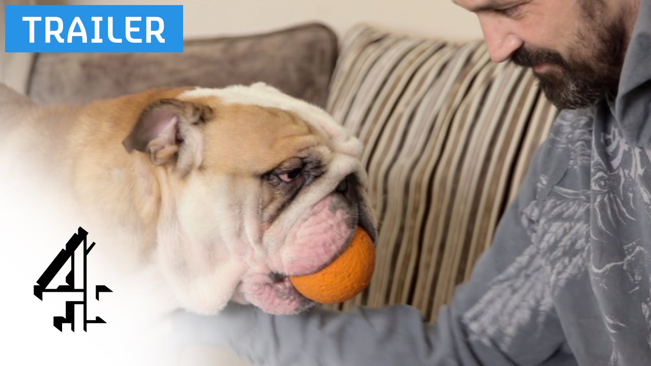 Dogs on the Dole | Thursday 10pm | Channel 4