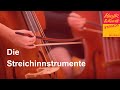 Die Streichinstrumente