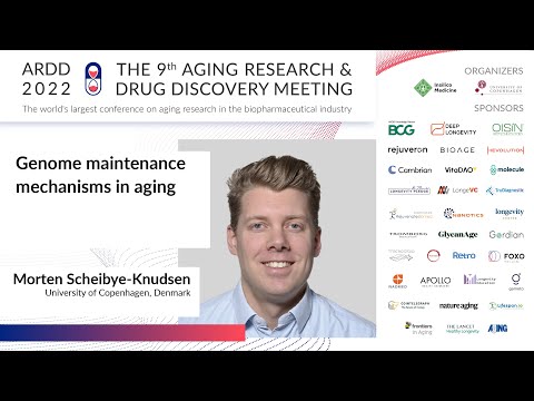 Morten Scheibye-Knudsen at ARDD2022: Genome maintenance mechanisms in aging