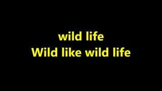Jack and Jack Wild Life lyrics