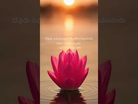 Trust His Timing: Everything is Beautiful in its Time 🌸 | Ecc 3:11