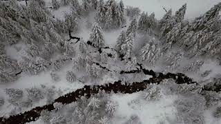 La neige qui tombe n'est jamais froide quand on est heureux