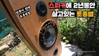 삼성 스피커 안에 살고있는 어마어마한 양의 토종벌 데려오기