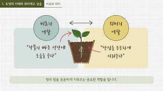 [기초 1강] 토양과 퇴비 관련사진