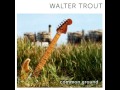 Walter Trout - Open Book 