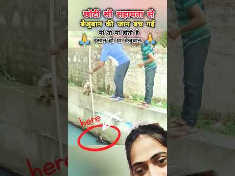 #sad #help the animals #funny #save monkey #comedy #helpless #help #army #song YouTube short