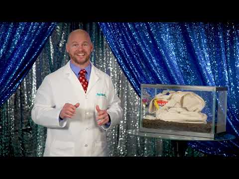 Will They Eat It?- Season 2 Episode 4: Backpack