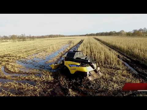 Maisdrescher geht baden!