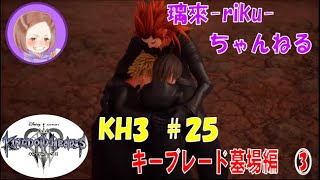 [PS4][KH3][#25] キーブレード墓場③ [ネタバレ注意][音量注意]