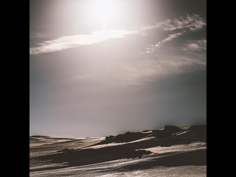 MNMT Premiere : Araceae - Three Years