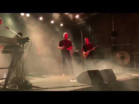 David Koller - Gypsy love