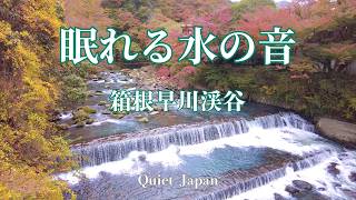 〘実写・箱根〙心身のバッテリー切れ対策・聴き流しで眠れる川音asmr・目覚めに【自律神経と脳を整えるホワイトノイズ入眠法】箱根湯本早川渓谷💦Sleepwell in japan　３時間水の音熟睡誘導へ