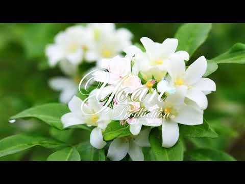 GOULAM x YOAN PRODUCTION - Fleur De Jasmin (ZOUKOMPA 2021) B.R.C FMY