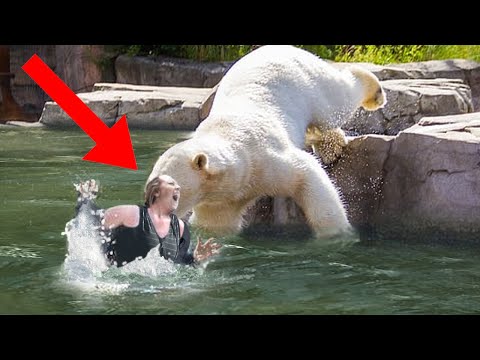 9 Craziest Zoo Animal Attacks