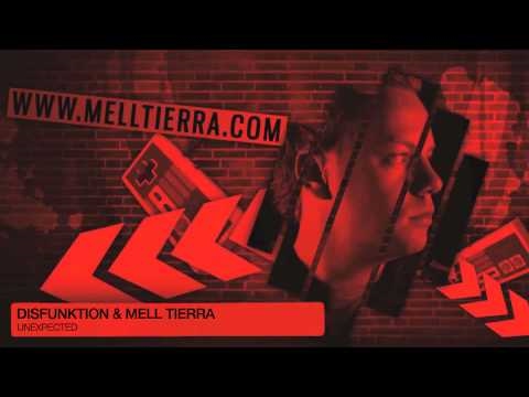 Disfunktion & Mell Tierra - Unexpected