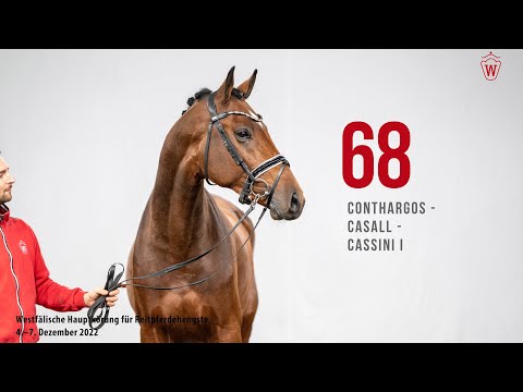 Westfälische Hauptkörung 2022 Reitpferde: Kat.Nr. 68  Conthargos  -  Casall  -  Cassini I
