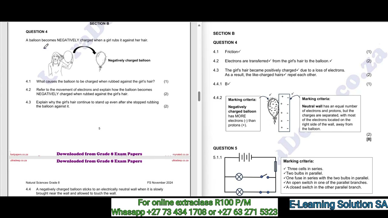 Grade 8 Natural Sciences Term 4 | Final Exam Part 2 of 2025