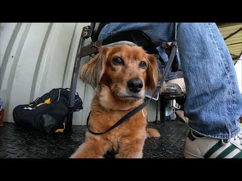 Peacehaven v Loxwood