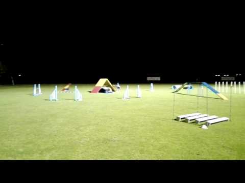 Clip Crufts train course