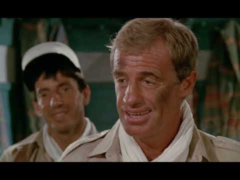 Les morfalous - Tu serais pas un peu con toi ?