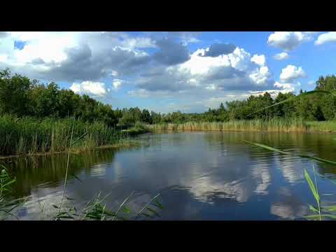 Beautiful nature relaxing vedio##Ansu Nature