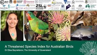 Presentation: 'A Threatened Species Index for Australian Birds' by Dr Elisa Bayraktarov, UQ