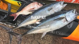 Double Hook Up Birthday Longtail Tuna - Kayak Fishing Australia