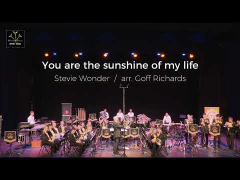 You Are The Sunshine Of My Life - Sonido De Los Andes