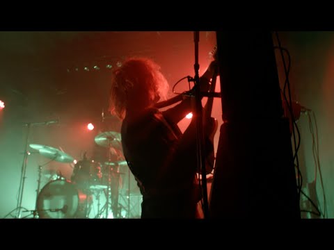 Lick It Live