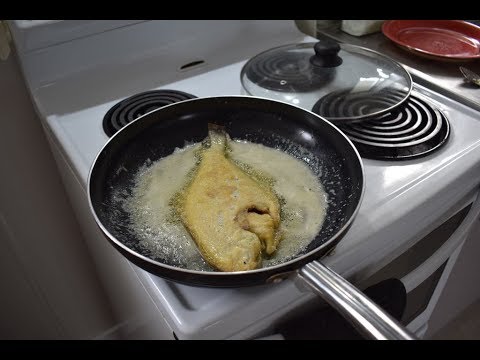 download lagu mp3 mp4 Cooking Flounder Nz, download lagu Cooking Flounder Nz gratis, unduh video klip Cooking Flounder Nz