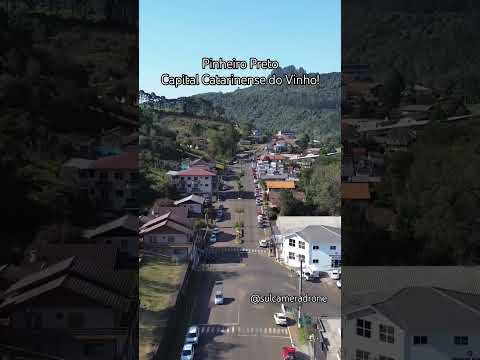 Pinheiro Preto Santa Catarina!