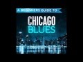 Hubert Sumlin  ~  ''Play It Cool''  1990