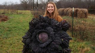 WINTER Harvesting and Garden Prep in January?!