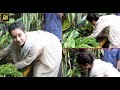 Kangana Ranaut Starts Plantation Campaign Requests People To Plant Saplings