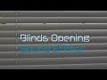 Blinds Opening Sound Effect in ((STEREO))