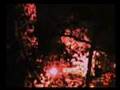 Nocturnal Emissions