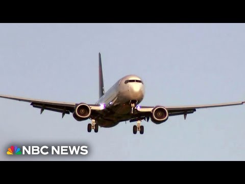 Airline organization leader warns of ‘hundreds’ of close calls every day