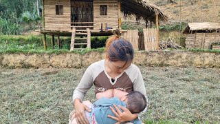 For 10 days, mother and son harvested ginger to sell, bought corn seeds, bought hoes, and weeded.