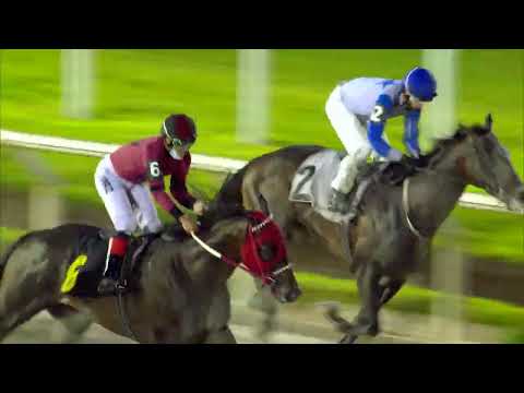 220205 c10 -  GAVILAN - HIPODROMO MAROÑAS