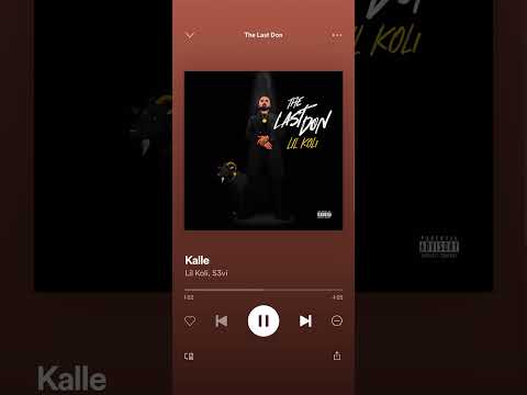 Lil Koli FT S3vi / The Last Don ALBUM