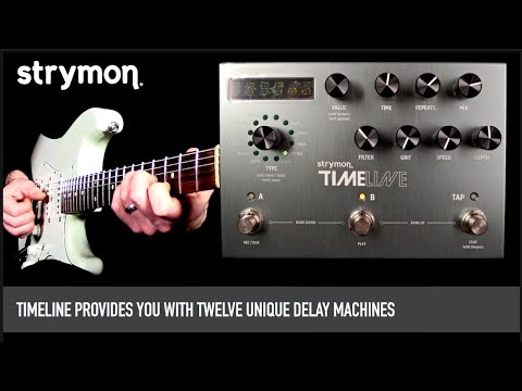 Strymon TimeLine Delay 2011 - Present - Silver image 8
