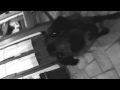 Mr.Oizo - FIngers