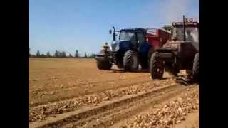 preview picture of video 'Harvest onions récolte oignons'